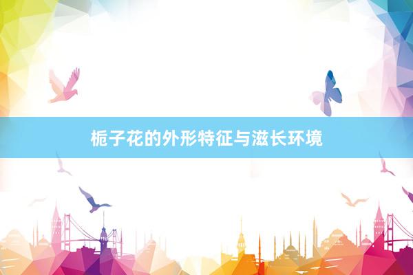 栀子花的外形特征与滋长环境